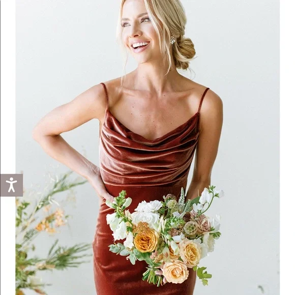 Revelry | Dresses | Revelry Skye Velvet Dress Terracotta Never Worn